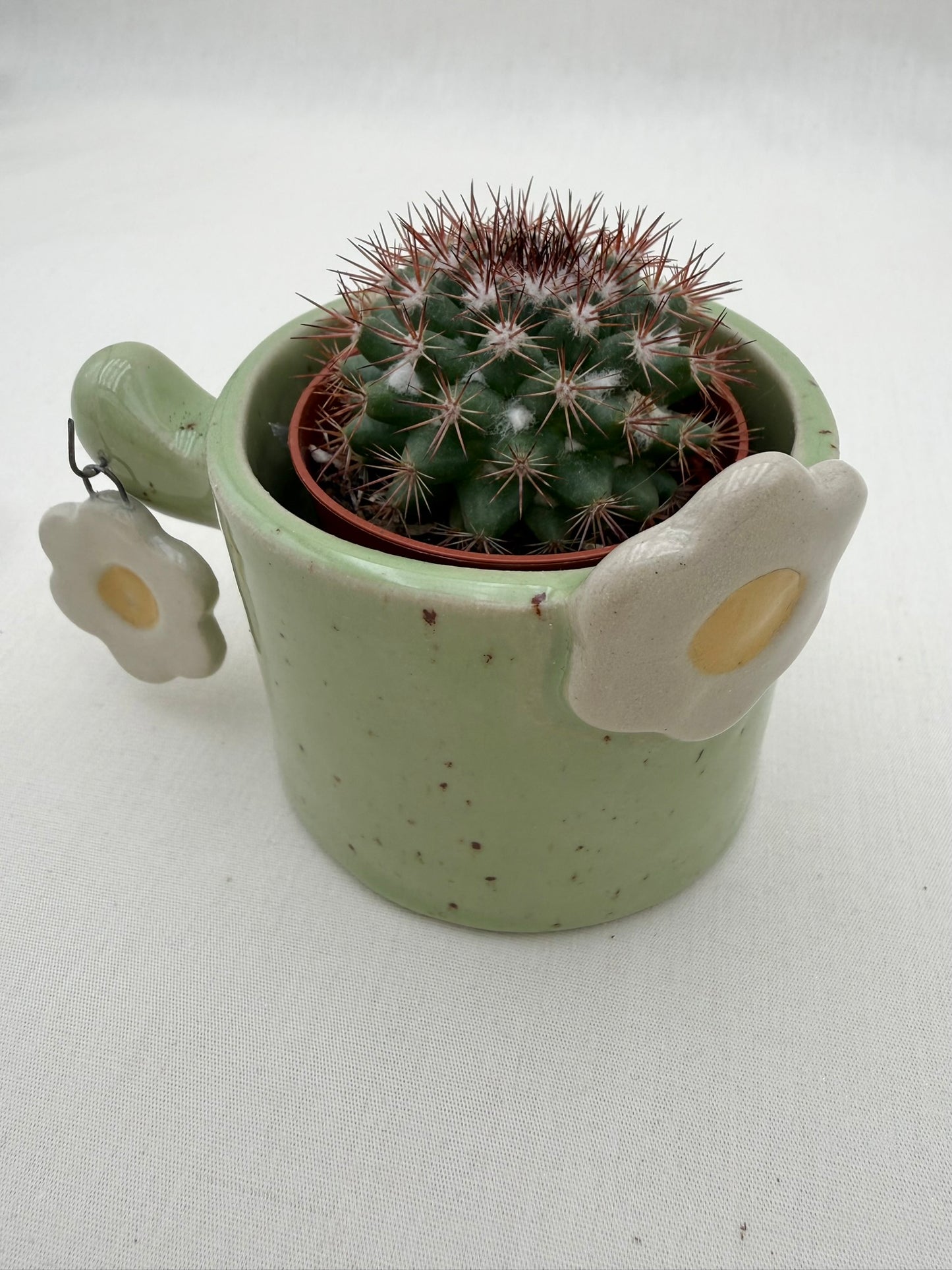 Blumentopf Kaktus mit Anhänger Blume