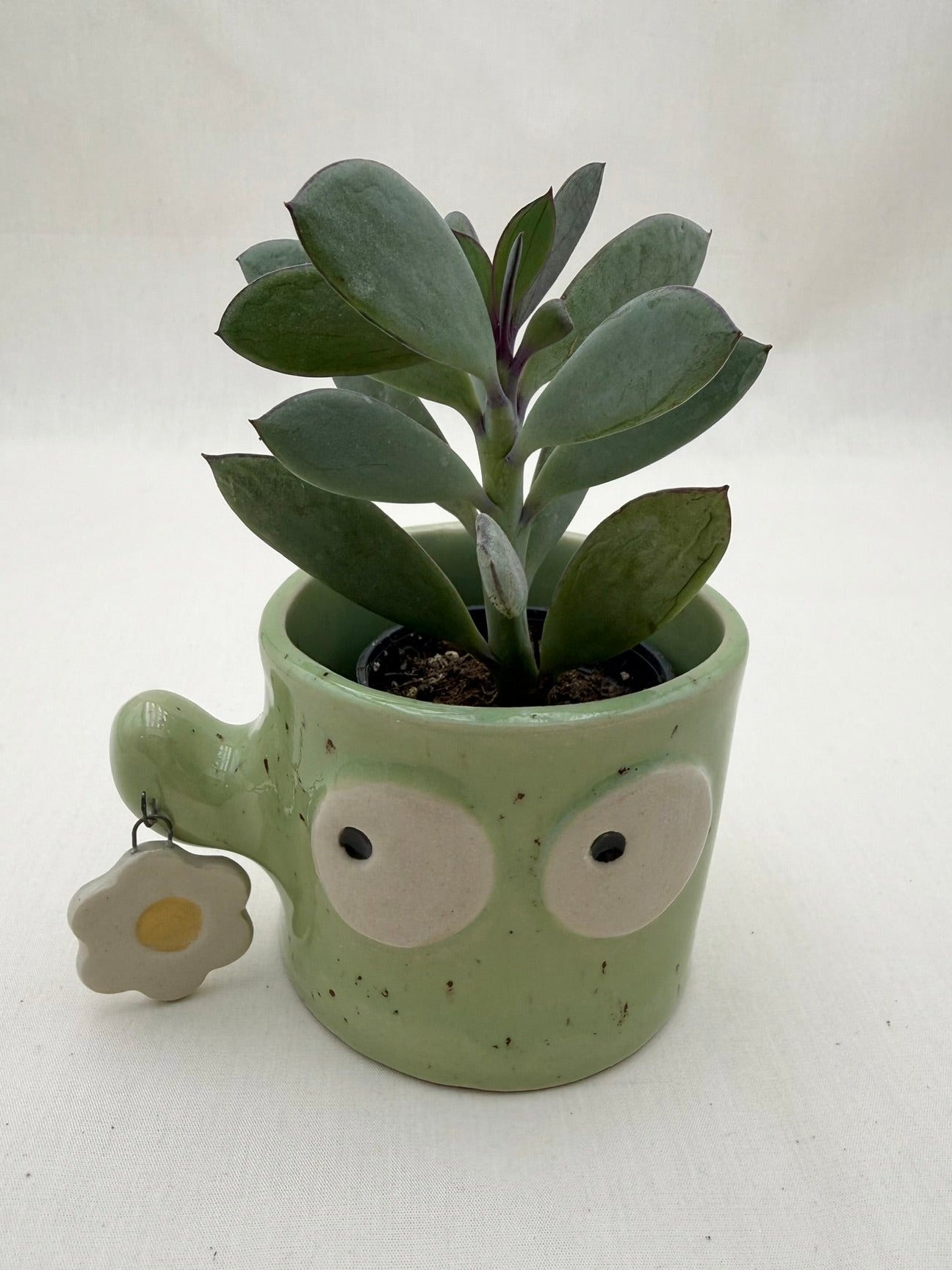 Blumentopf Kaktus große Augen mit Anhänger Blume