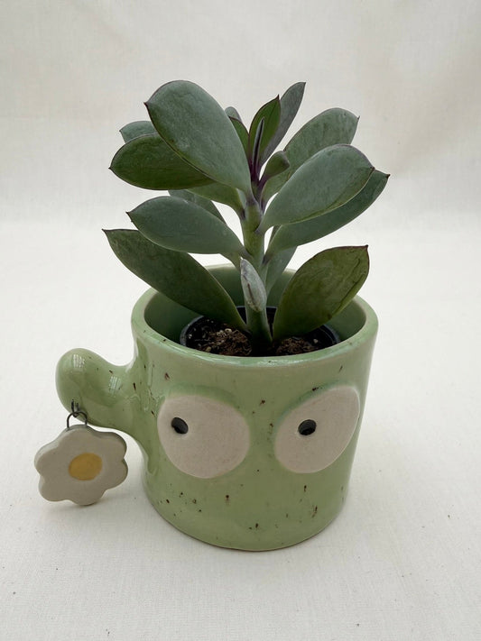 Blumentopf Kaktus große Augen mit Anhänger Blume