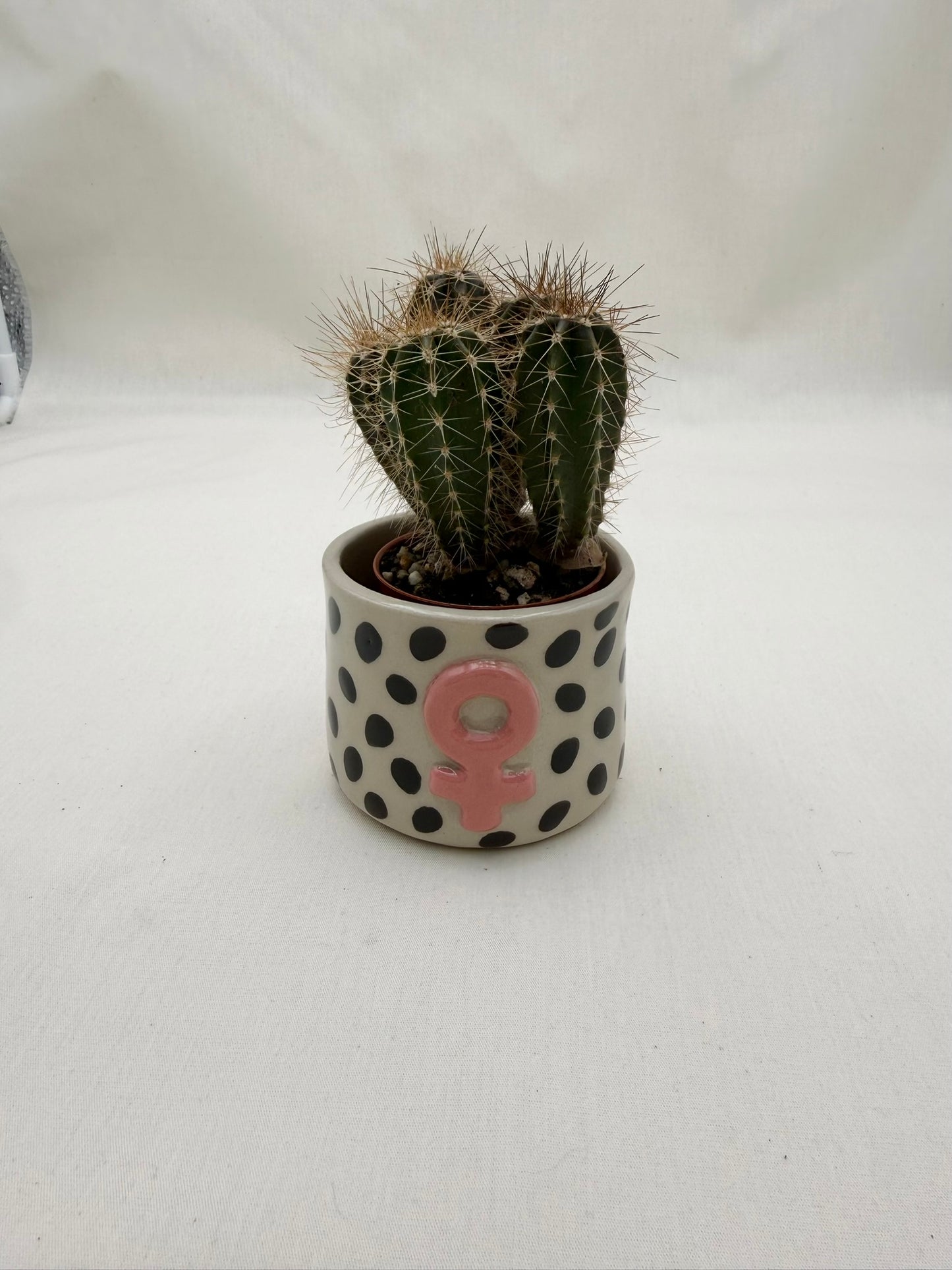 Blumentopf Punkte und pink Femii