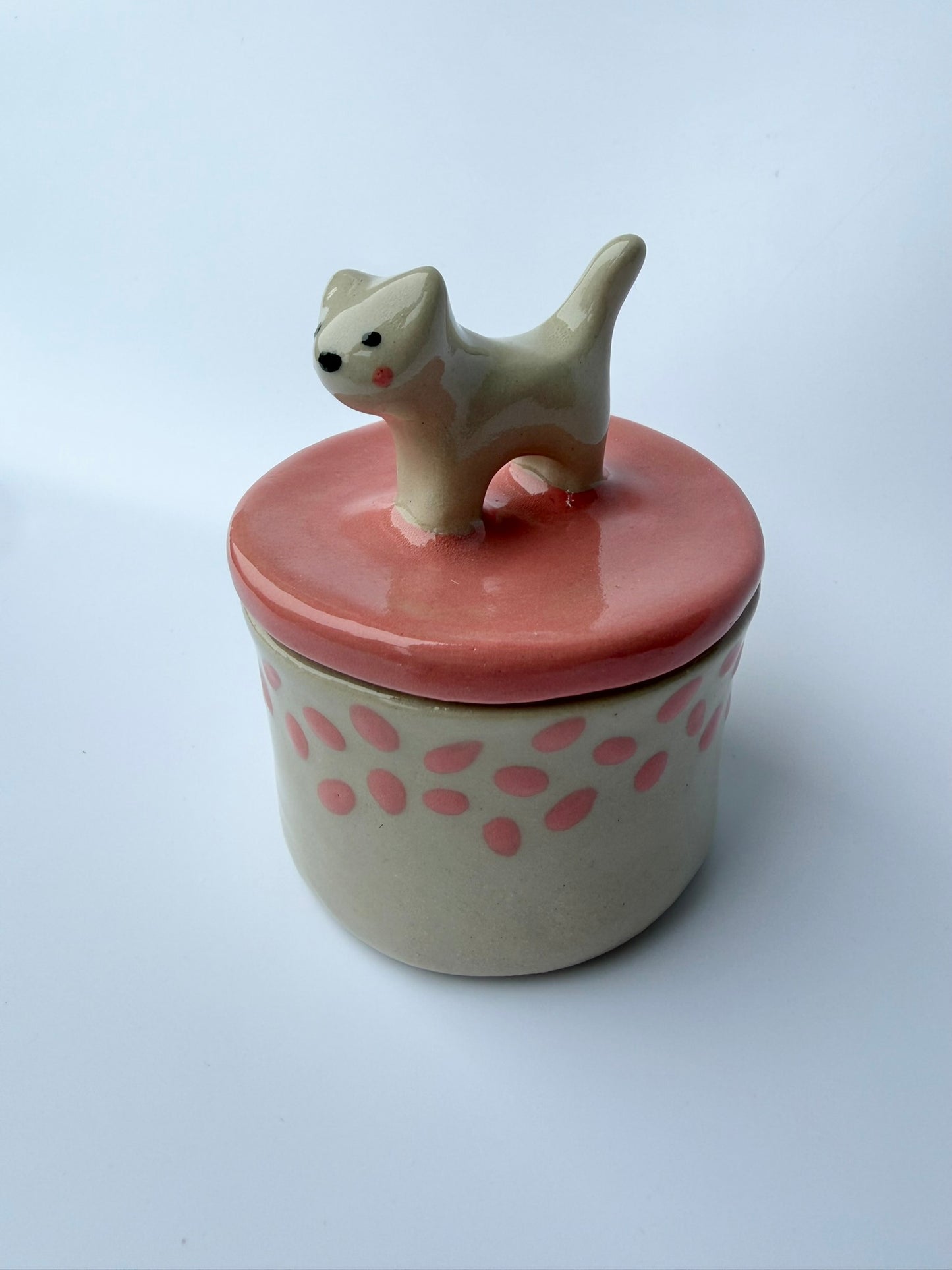 Katzen Dose pinke Punkte