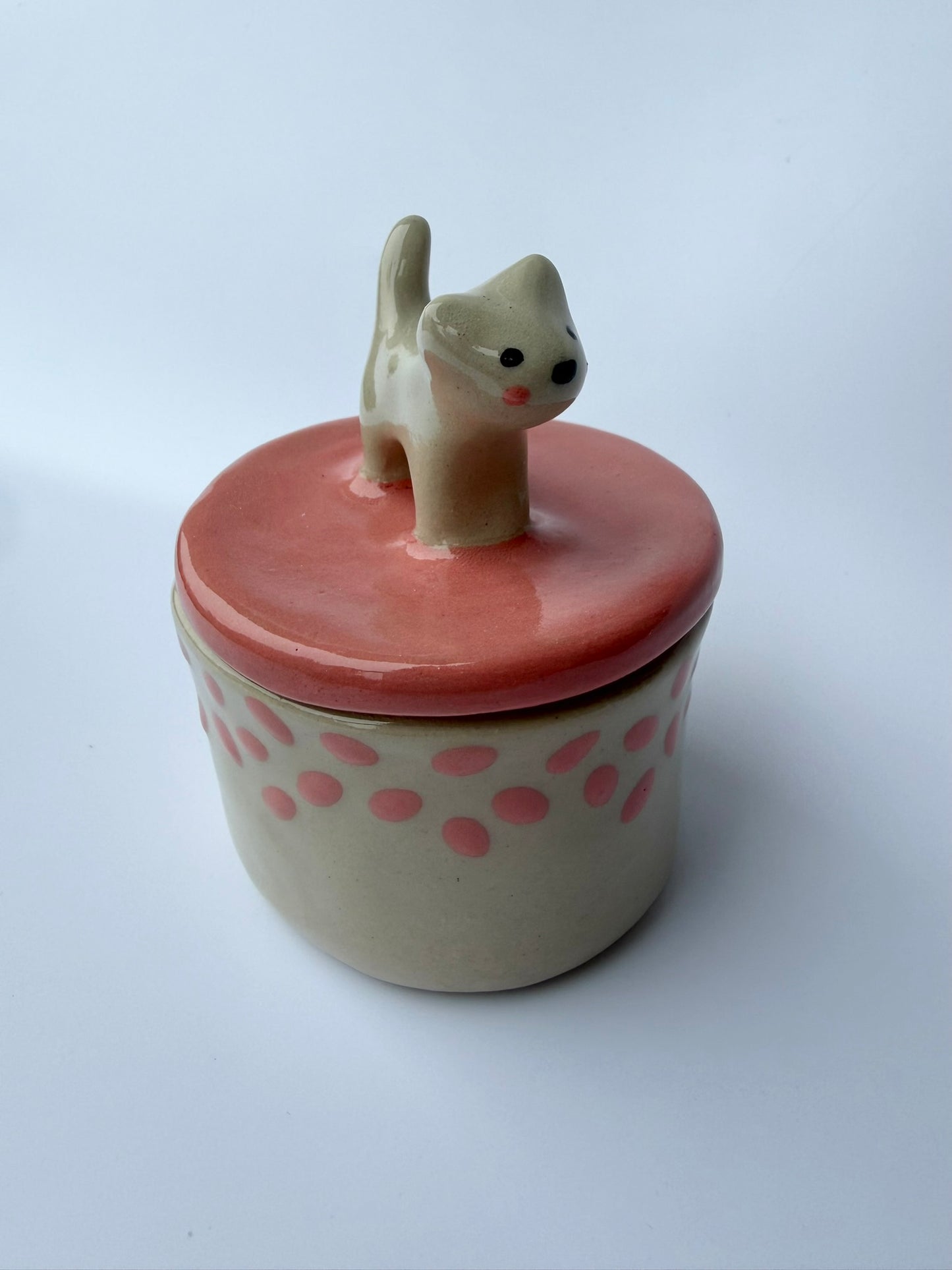 Katzen Dose pinke Punkte