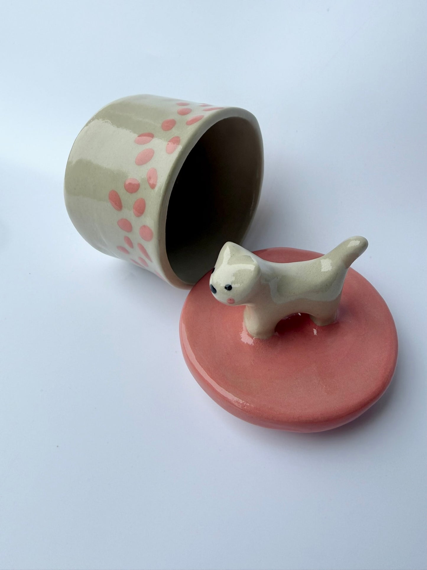 Katzen Dose pinke Punkte