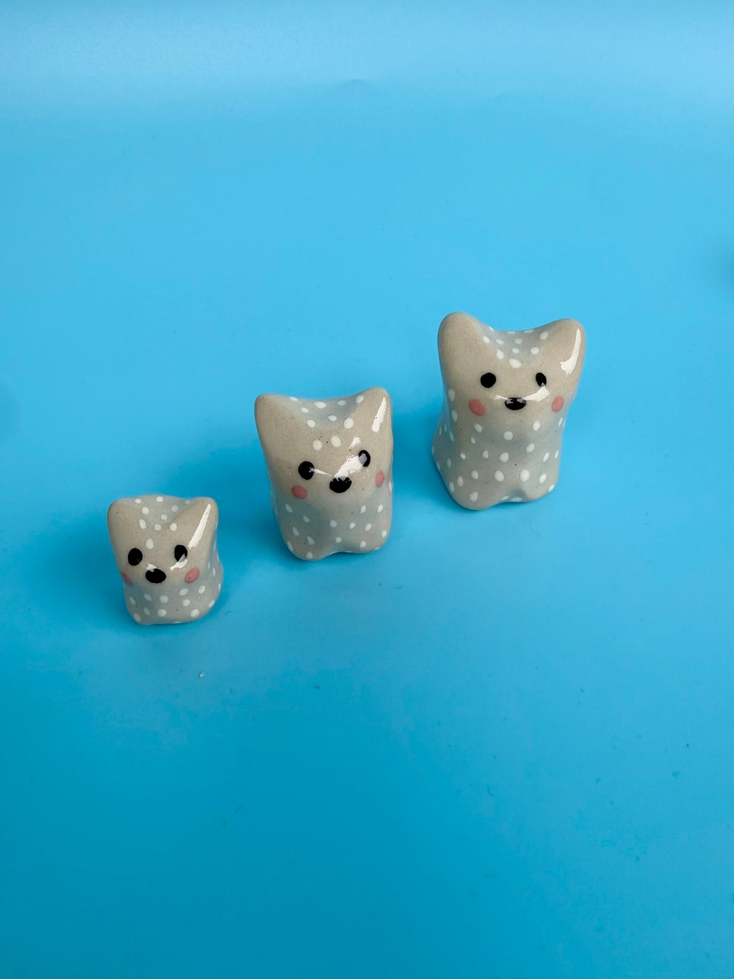 Katzen Trio