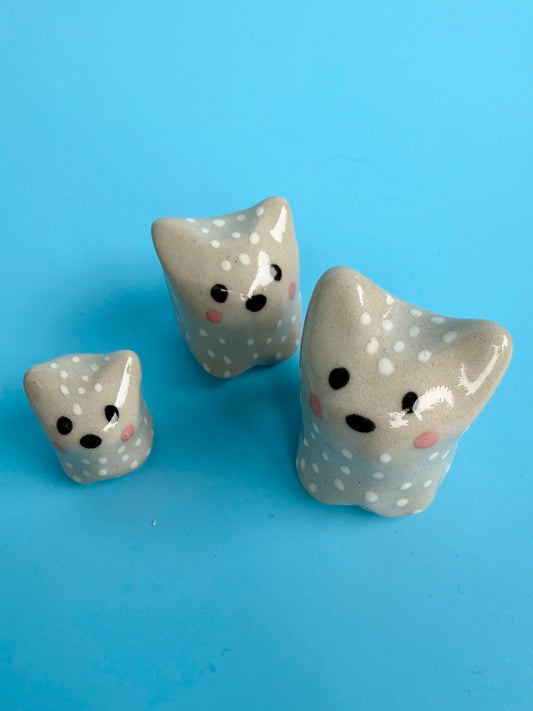 Katzen Trio