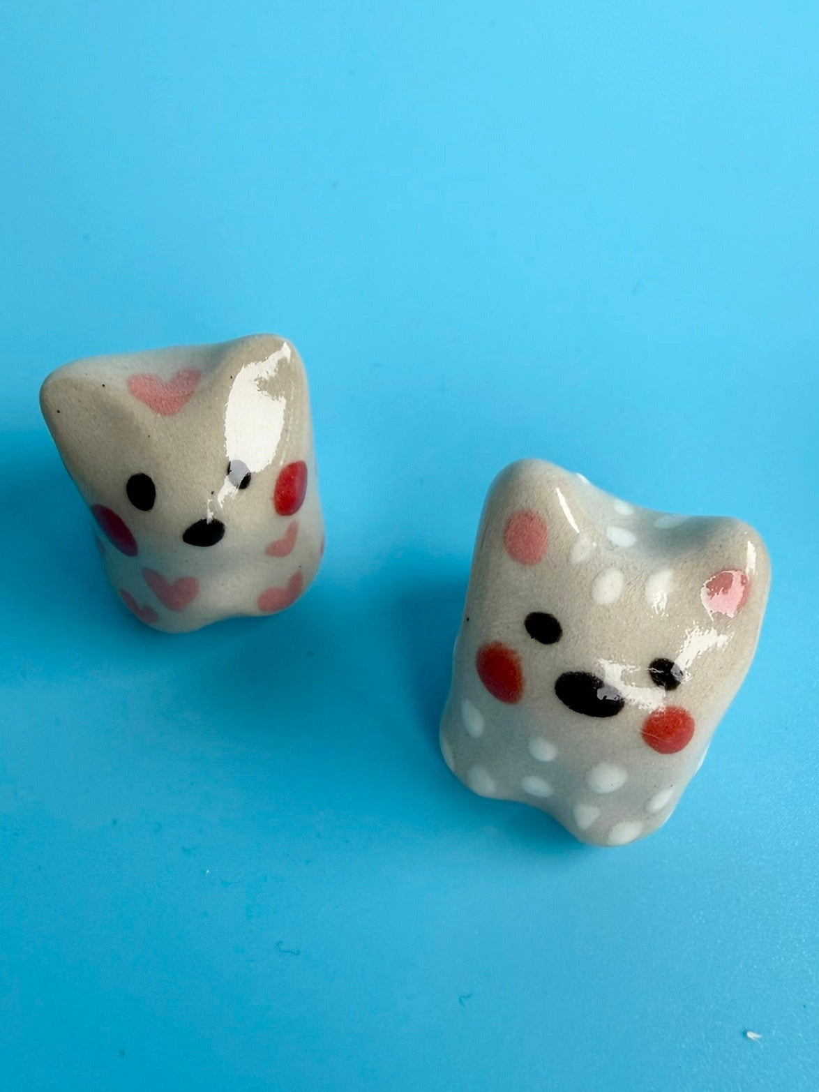 Katze Lilly und Fred